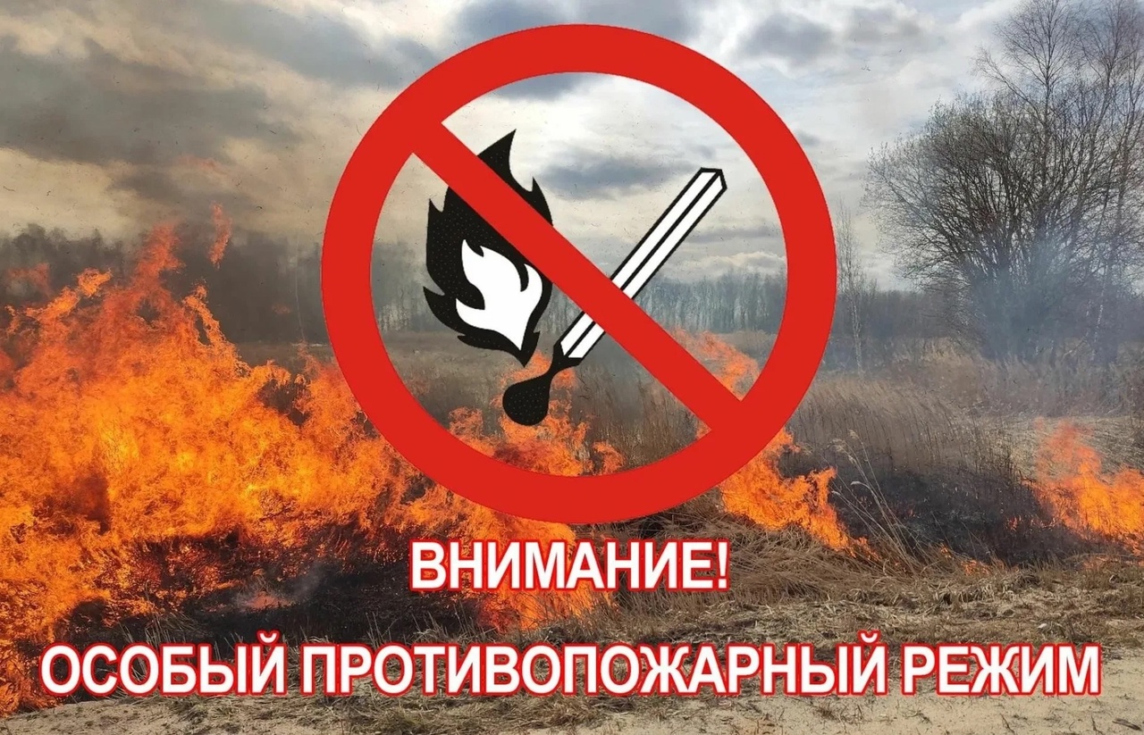 9fszt2qjDcU.jpg