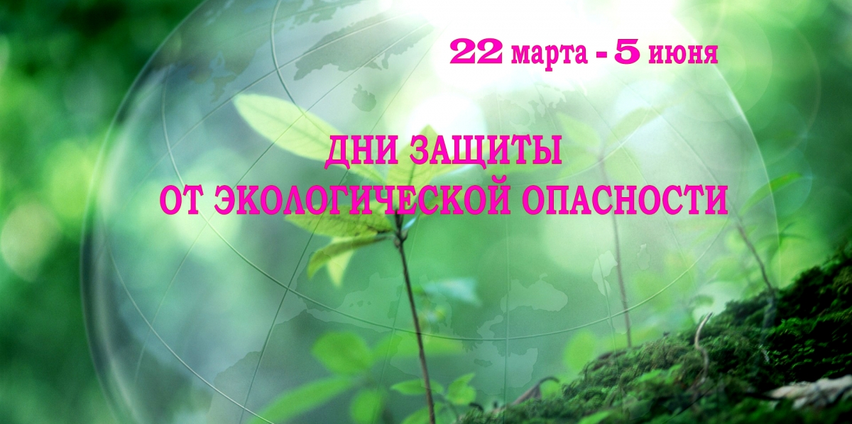 image_5e89aae884e1c.jpg